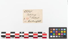 Etiketten zu Bronzebrillenfibel (NHMW-PRAE-023725)